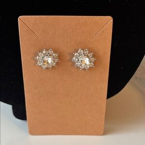 Elegant Silver Crystal Stud Earrings